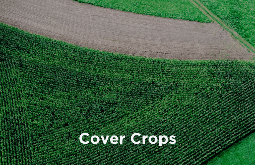 carbon farming trust cover crops